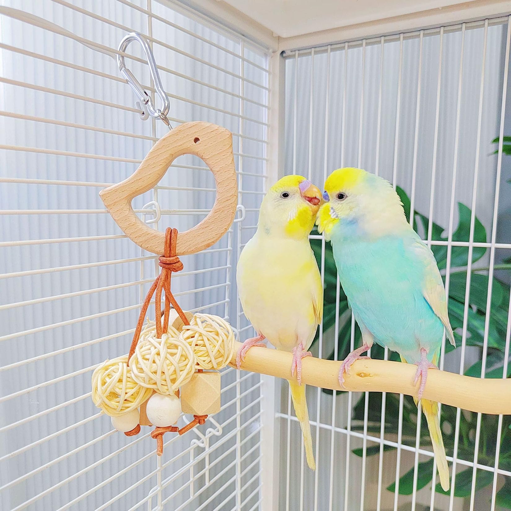 Amazon | TARATI インコ おもちゃ鳥 おもちゃ鳥の止まり木 セキセイ